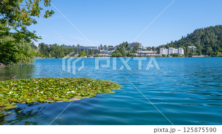 Calm blue waters of Bled Lake reflect the sunny sky, surrounded by lush greenery and charming buildings. Visitors enjoy the peaceful atmosphere and breathtaking views along the shore. Calm blue waters of Bled Lake reflect the sunny sky, surrounded by lush greenery and charming buildings. Visitors enjoy the peaceful atmosphere and breathtaking views along the shore. 125875590