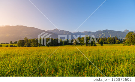 Vast fields of golden grass stretch towards majestic low tauern mountains under a clear blue sky, showcasing the serene beauty of Austria during early morning light. Vast fields of golden grass stretch towards majestic low tauern mountains under a clear blue sky, showcasing the serene beauty of Austria during early morning light. 125875603