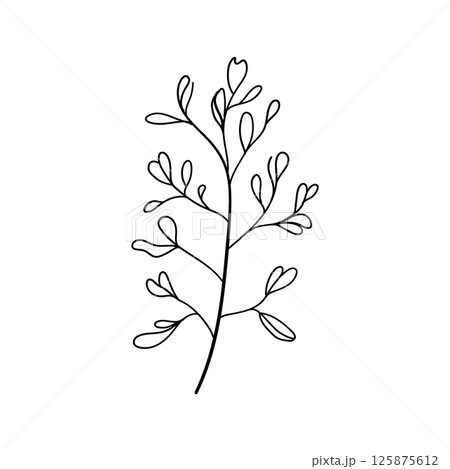 Delicate Flower Stem. Thin floral stem illustration with delicate buds and simple lines, ideal for greeting cards, stickers, or subtle feminine patterns. 125875612