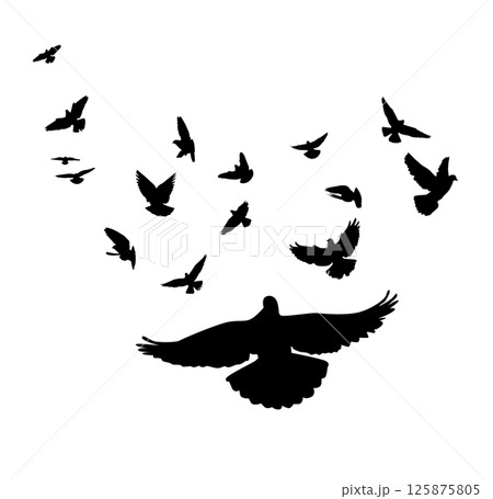 Flying birds silhouettes on white background. Vector illustration. isolated bird flying. tattoo design. 125875805