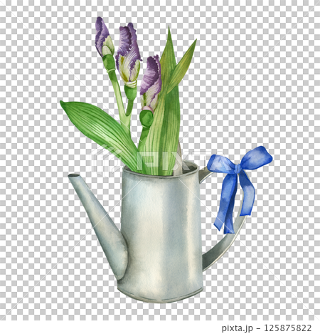 Floral arrangement, iris flowers, buds in a watering can and a blue bow. All objects are hand-painted with watercolors. Perfect for cards and invitations. High quality illustration Floral arrangement, iris flowers, buds in a watering can and a blue bow. All objects are hand-painted with watercolors. Perfect for cards and invitations. High quality illustration 125875822