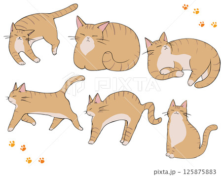 茶トラ ねこ まとめ 茶トラ ねこ まとめ 125875883