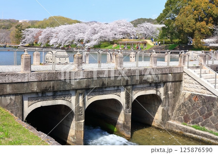 【岡山県】桜咲く春の酒津公園（高梁川東西用水取配水施設） 125876590