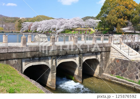 【岡山県】桜咲く春の酒津公園(高梁川東西用水取配水施設) 【岡山県】桜咲く春の酒津公園(高梁川東西用水取配水施設) 125876592