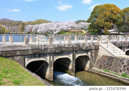 【岡山県】桜咲く春の酒津公園（高梁川東西用水取配水施設） 125876594
