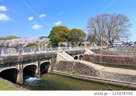 【岡山県】桜咲く春の酒津公園（高梁川東西用水取配水施設） 125876598