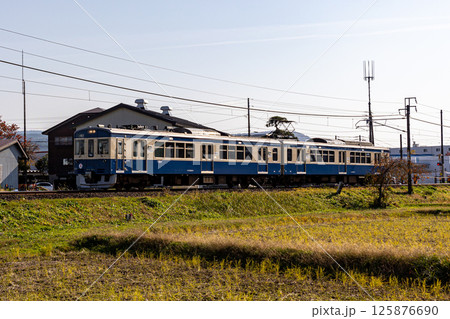 えちごトキめき鉄道スカ色 125876690