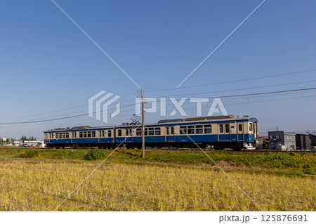 えちごトキめき鉄道スカ色 125876691