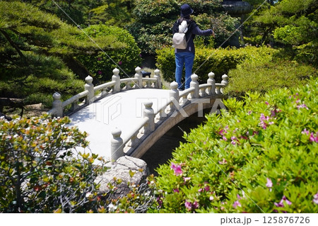 ツツジの咲く公園の橋を渡る人 125876726