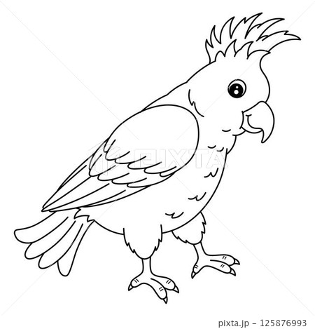 Bird Cockatoo Isolated Coloring Page for Kids  Bird Cockatoo Isolated Coloring Page for Kids  125876993