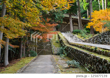 福井県若狭小浜市の紅葉まっさかりの明通寺を撮影 125877139