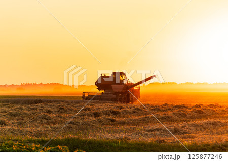 A combine harvester works tirelessly in a field as the sun sets, casting golden light over the landscape A combine harvester works tirelessly in a field as the sun sets, casting golden light over the landscape 125877246