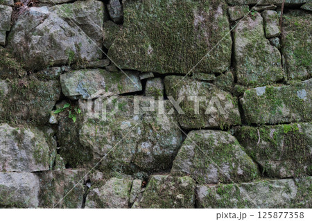 兵庫県加東市所在の播州清水寺の石垣を撮影 兵庫県加東市所在の播州清水寺の石垣を撮影 125877358