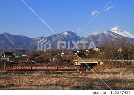 冠雪した浅間山を背景に駆け抜けるしなの鉄道115系電車(湘南色)_2025/2/10撮影 125877487