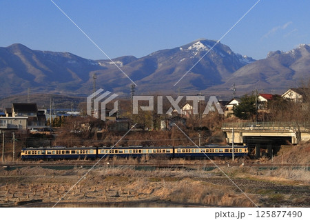冠雪した浅間山を背景に駆け抜けるしなの鉄道115系電車(横須賀色)_2025/2/10撮影 125877490