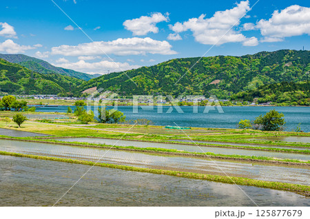 初夏の余呉湖畔川並地区の水田風景 滋賀県長浜市余呉町 初夏の余呉湖畔川並地区の水田風景 滋賀県長浜市余呉町 125877679
