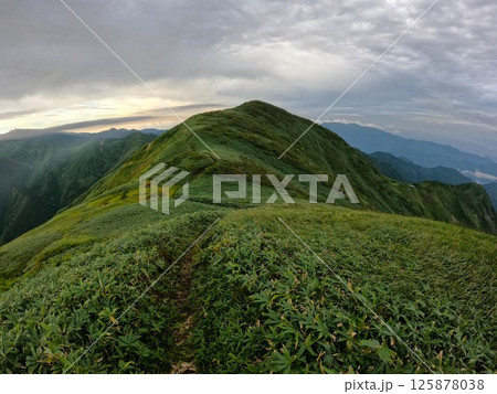 朳差岳山頂への登山道と笹原 朳差岳山頂への登山道と笹原 125878038