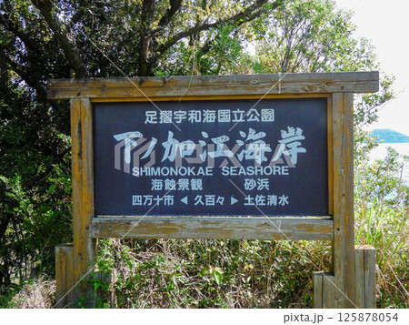 岩石海岸である下ノ加江海岸の風景 125878054