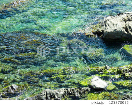 岩石海岸である下ノ加江海岸の風景 125878055