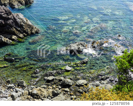 岩石海岸である下ノ加江海岸の風景 125878056
