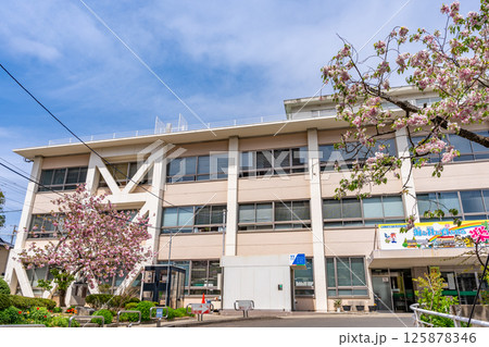 塩竈市役所本庁舎　満開の桜　青空　昭和35年に建設　新庁舎令和9年共用開始想定 125878346