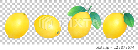 Fresh lemon and leaves hand drawn illustration set_watercolor__citrus fruits Fresh lemon and leaves hand drawn illustration set_watercolor__citrus fruits 125878674