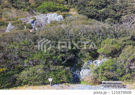 室戸岬にある竜宮岩/世界ジオパーク/室戸阿南海岸国定公園 室戸岬にある竜宮岩/世界ジオパーク/室戸阿南海岸国定公園 125879006