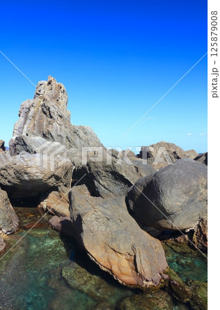 室戸岬にあるビシャゴ岩/世界ジオパーク/室戸阿南海岸国定公園/国指定名勝 室戸岬にあるビシャゴ岩/世界ジオパーク/室戸阿南海岸国定公園/国指定名勝 125879008