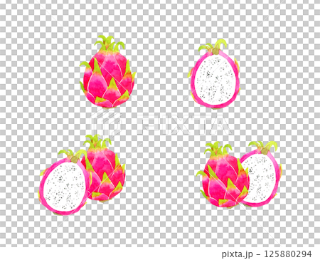 Dragon fruit set Hand-drawn watercolor illustration of fruits Dragon fruit set Hand-drawn watercolor illustration of fruits 125880294