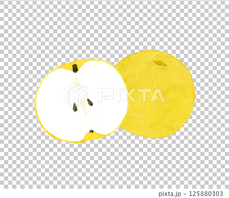 Pear cut in half - Hand-drawn watercolor illustration of fruit 125880303