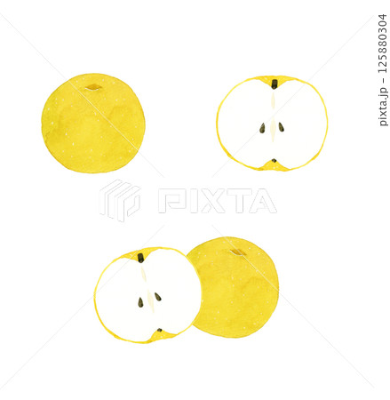 梨のセット　果物の手描き水彩イラスト素材 125880304