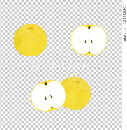 梨のセット　果物の手描き水彩イラスト素材 125880304