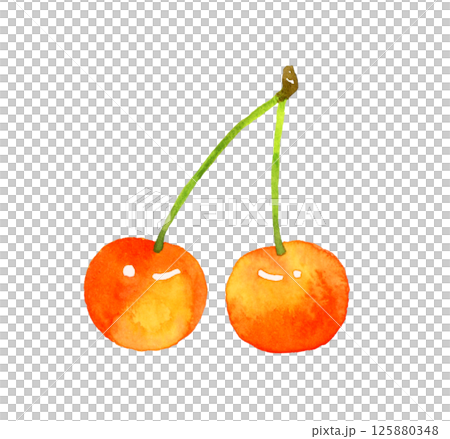 Cherry fruit hand-drawn watercolor illustration material 125880348