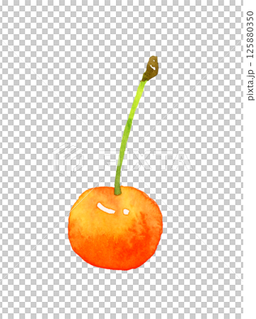 Cherry fruit hand-drawn watercolor illustration material Cherry fruit hand-drawn watercolor illustration material 125880350