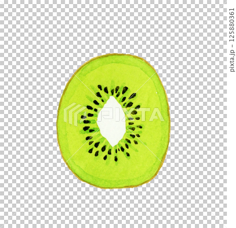 Hand-drawn watercolor illustration of green kiwi fruit cut in half 125880361