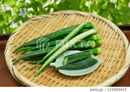 長オクラ(1) 125880425