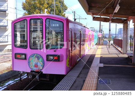 近江鉄道の800形列車（高宮駅） 125880485