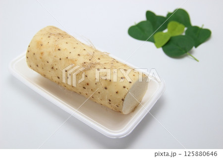 山芋、山の幸 125880646