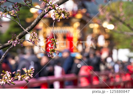 250414春の高山祭g299 125880847