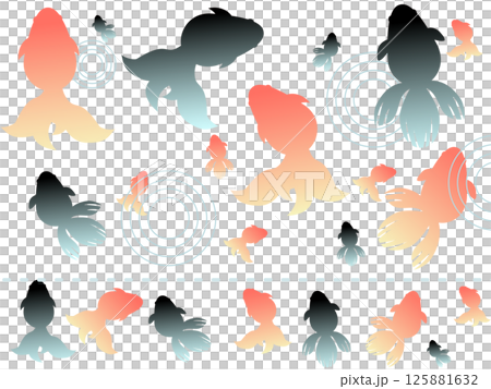 涼しげ金魚の素材セット 125881632