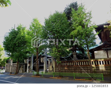 中央区湊 鉄砲洲稲荷神社 125881653