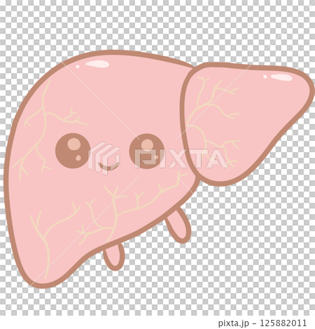 Cartoon anatomy liver cute pastel Cartoon anatomy liver cute pastel 125882011
