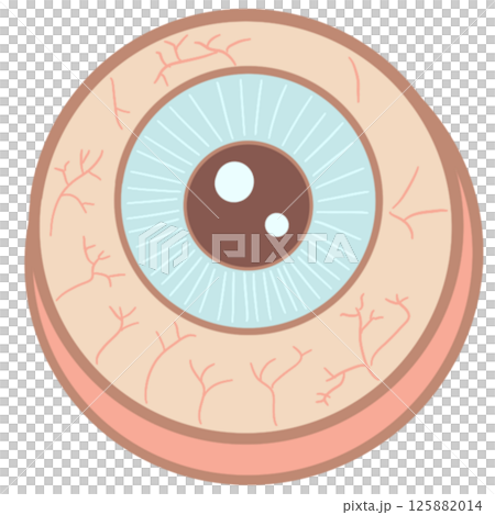 Anatomy Eye Pastel Cute 125882014