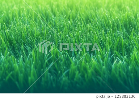 青々と茂る雑草の背景素材 125882130