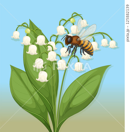 Bee on Lily of the Valley Illustration 125882139