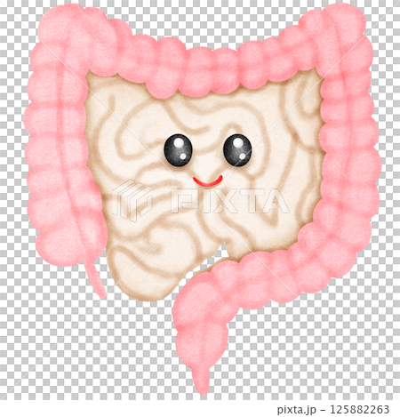 Human Intestinal Anatomy 125882263