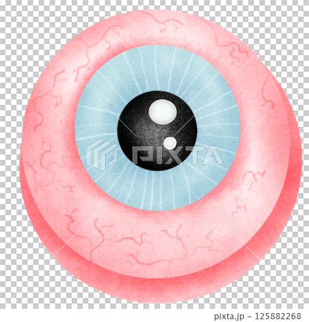 Anatomy Eye Anatomy Eye 125882268