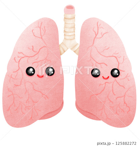 Cartoon Anatomy of a realistic human lung 125882272