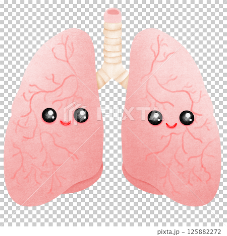 Cartoon Anatomy of a realistic human lung 125882272