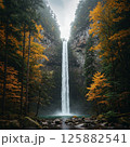 森の中の小さな滝 125882541